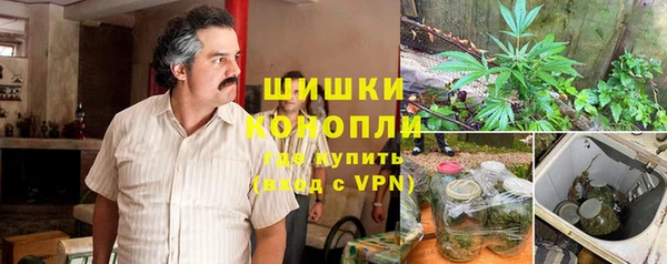 СК Белокуриха